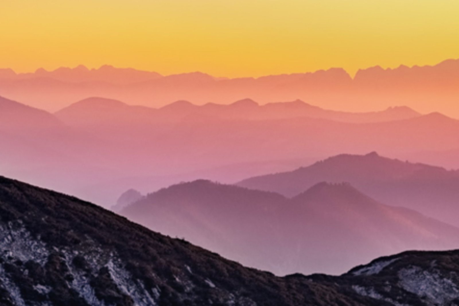 Gedragsverandering in werkomgeving