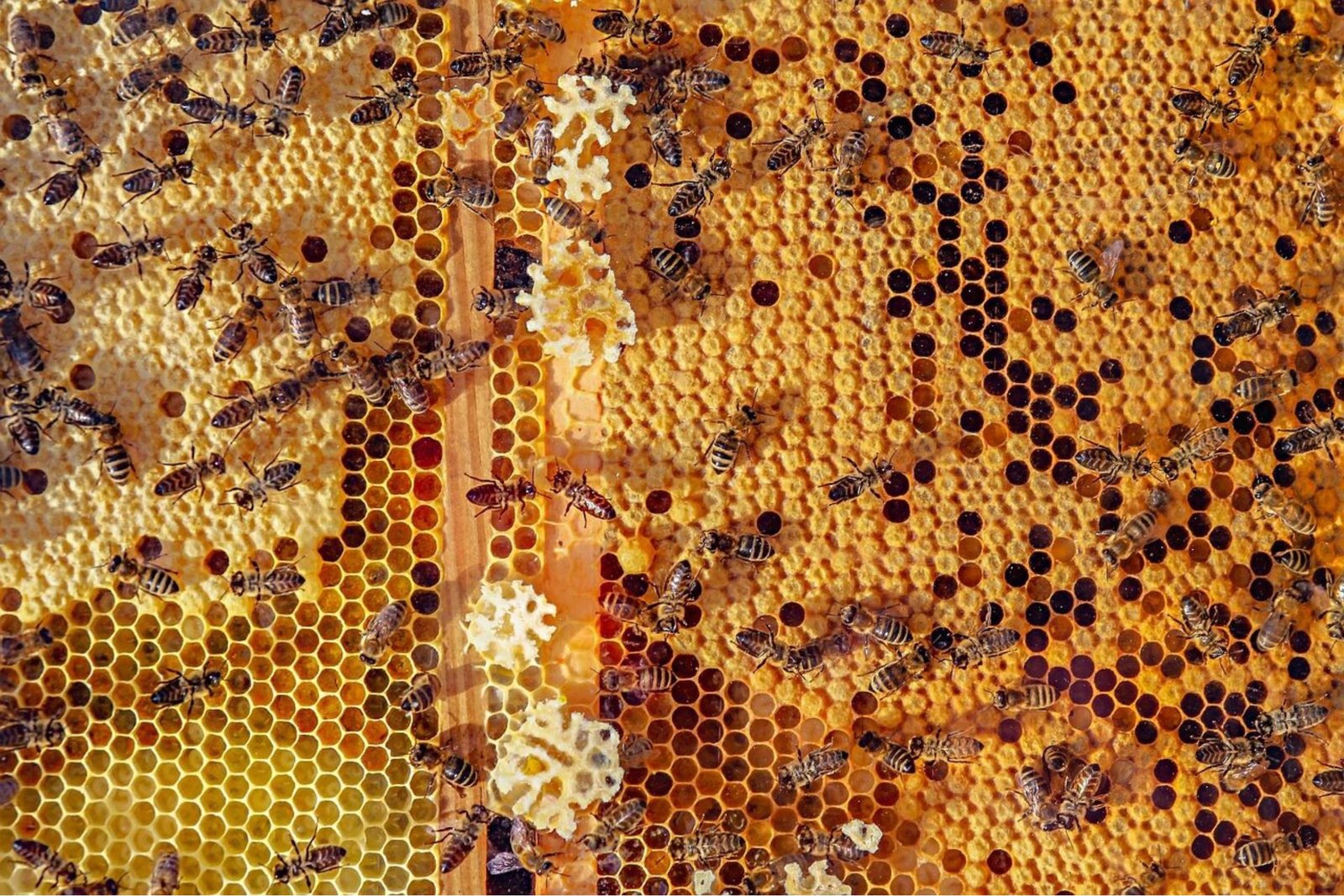 Werkomgeving als motor van kennisdeling