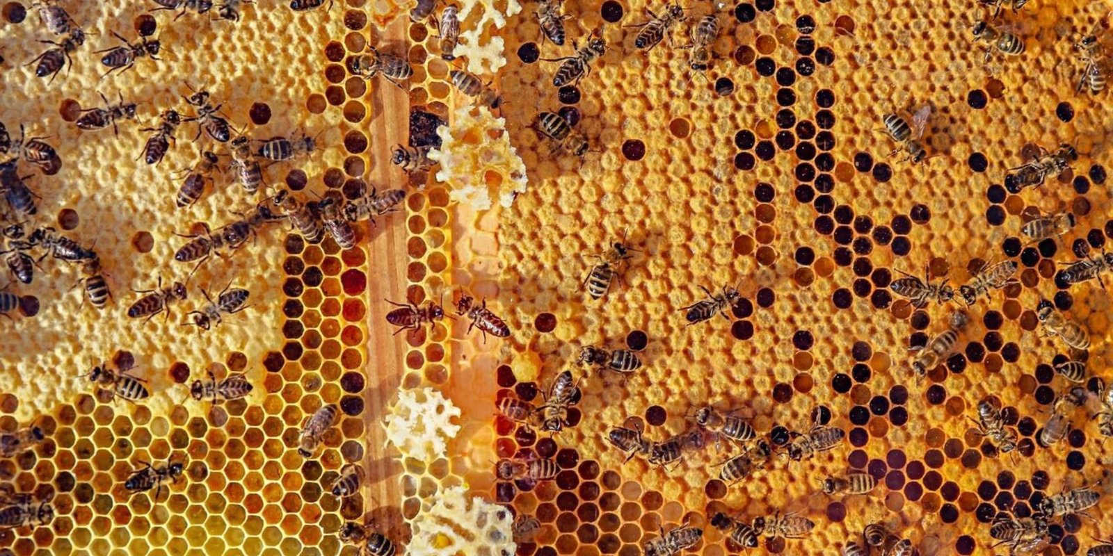 Werkomgeving als motor van kennisdeling